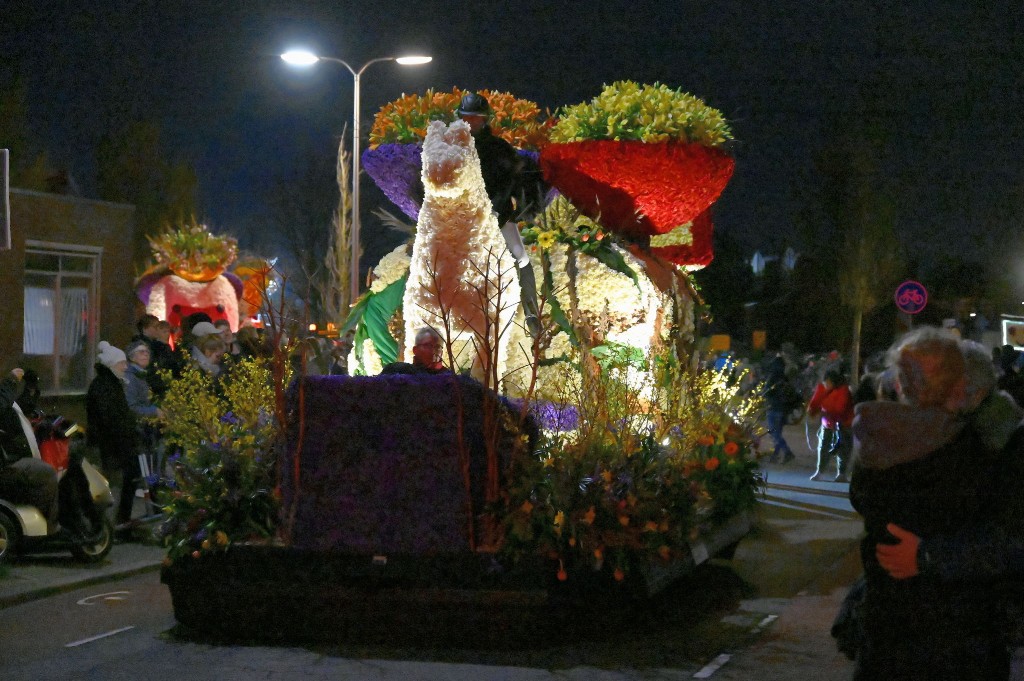 ../Images/Verlicht bloemencorso 2024 079.jpg